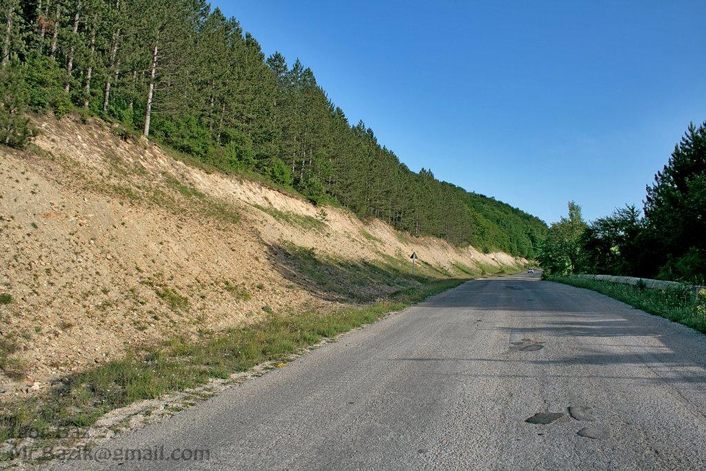 Красноселівка з panoramio.com - Красноселівка