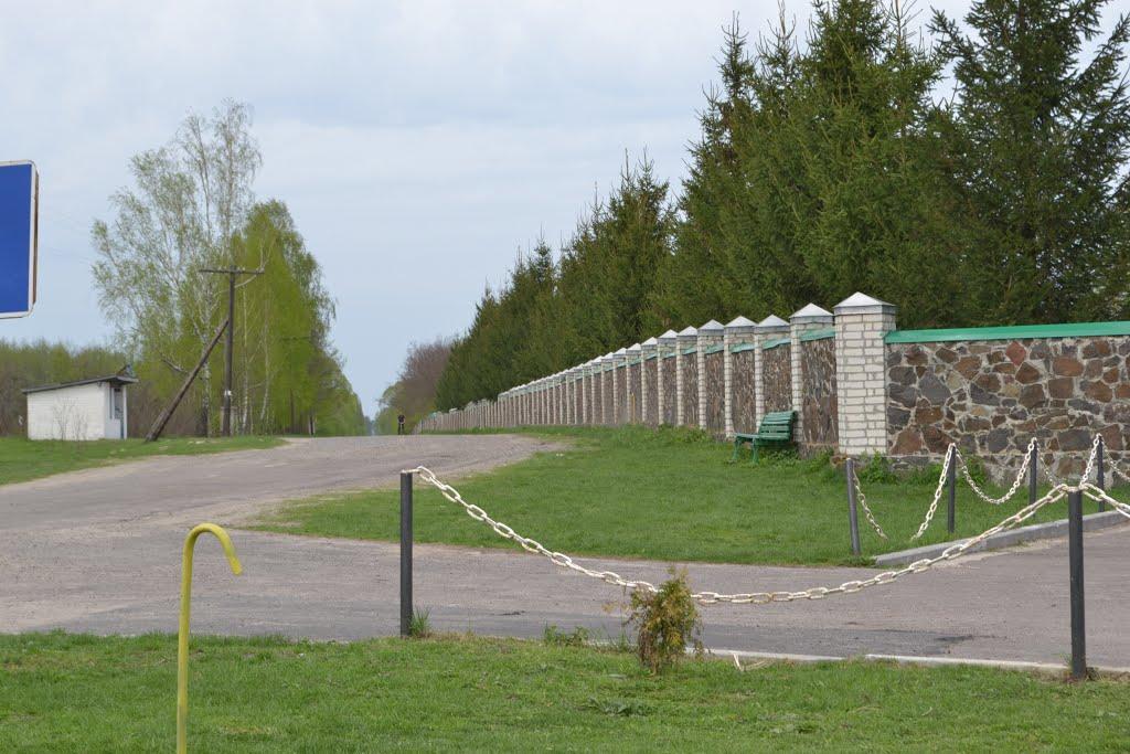 Мильці з panoramio.com - Мильці