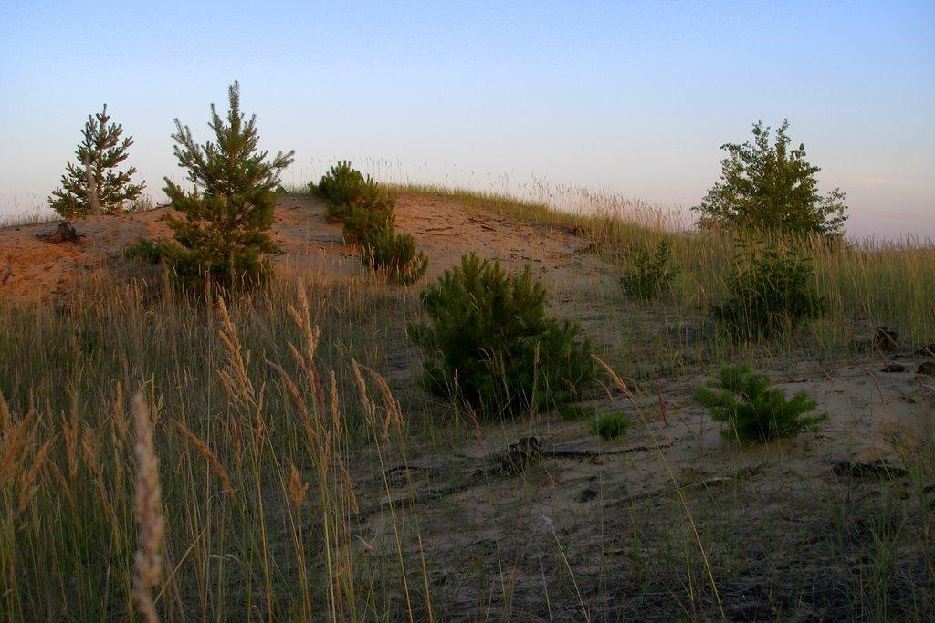 Кремінна з panoramio.com - Кремінна