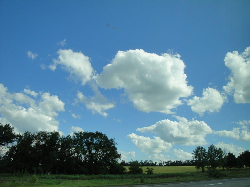 Дороганівка з panoramio.com - Дороганівка