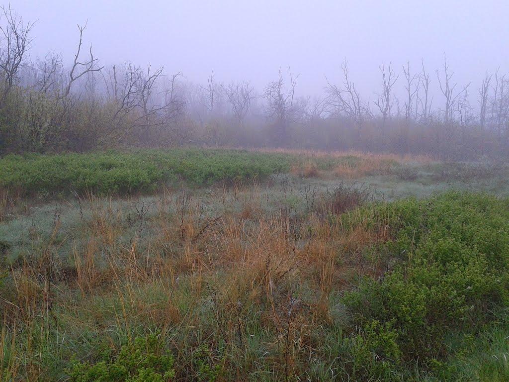 Перемога з panoramio.com