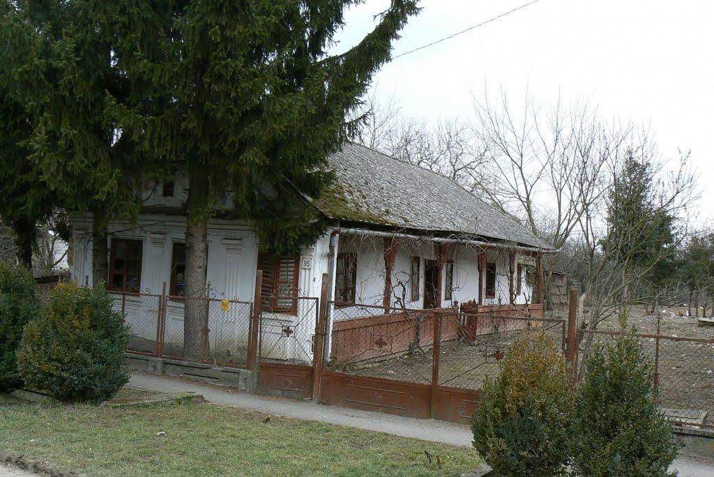 Астей з panoramio.com - Астей