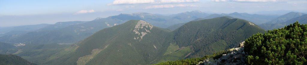 Осмолода з panoramio.com (ч.2) - Осмолода