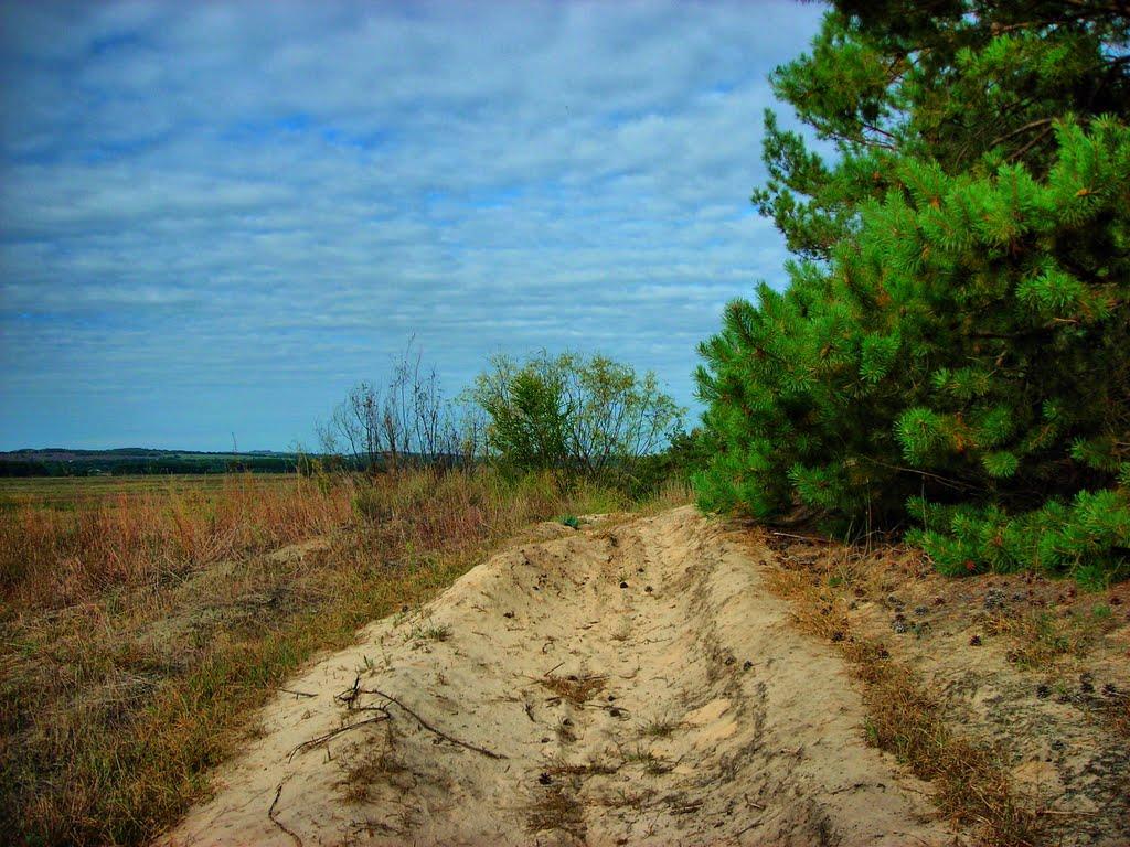 Медведівка з panoramio.com - Медведівка