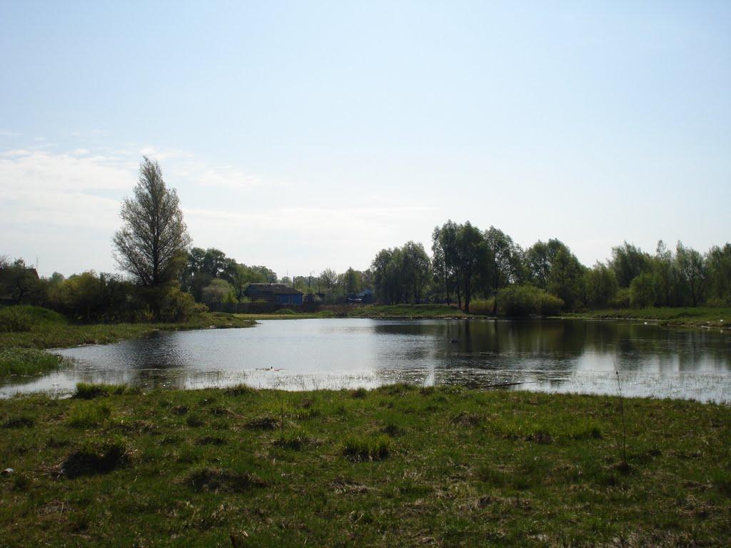 Середина-Буда з panoramio.com - Середина-Буда