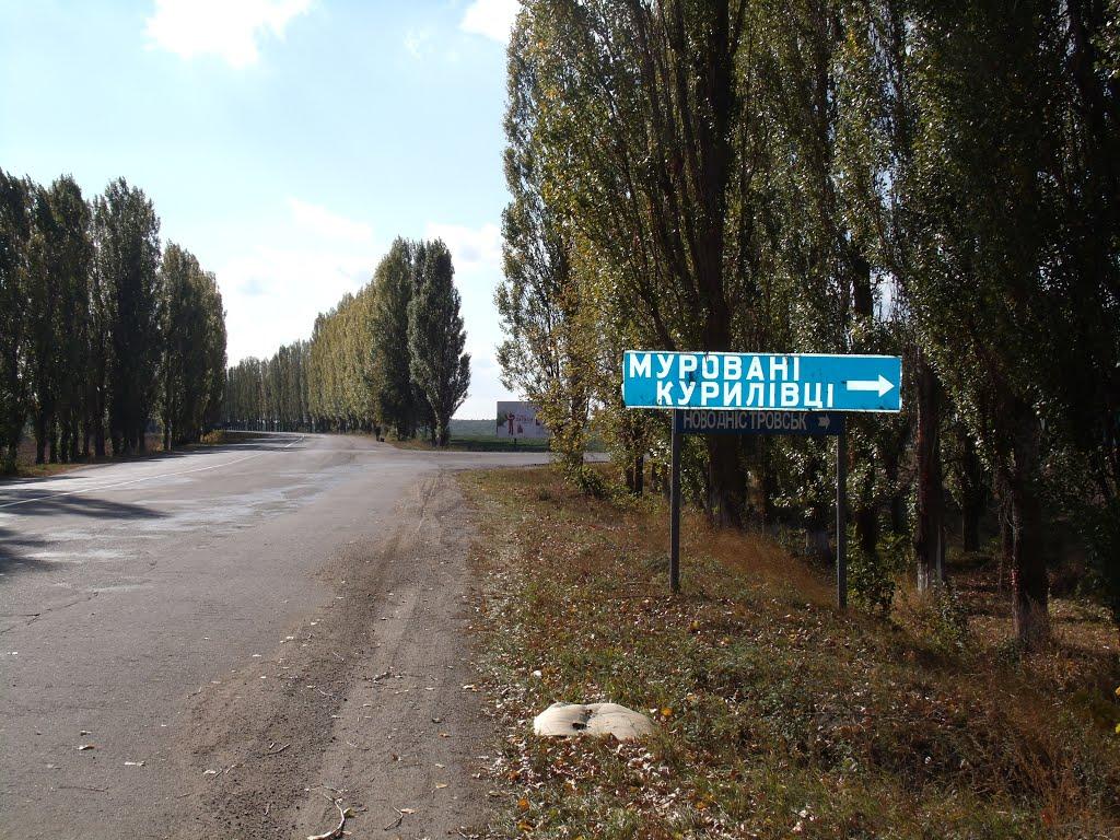 Привітне з panoramio.com - Приветное