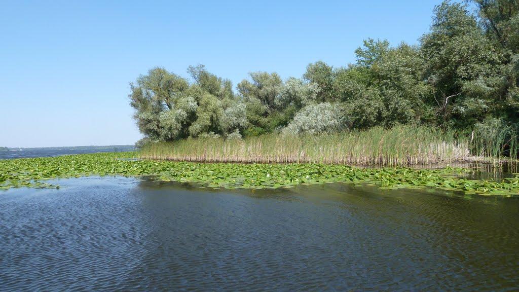 Розумівка з panoramio.com - Розумівка