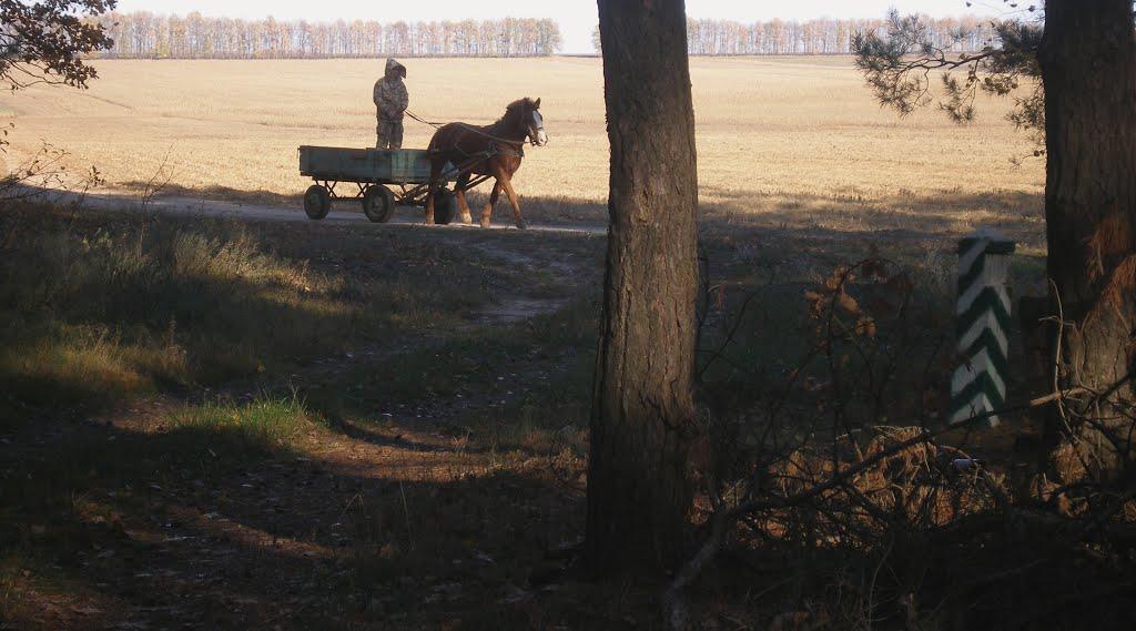 Маньківка з panoramio.com - Маньківка
