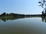 Зоряне - Останні фото