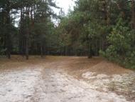 Жиричі з panoramio.com