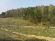 Нова Мощаниця з panoramio.com