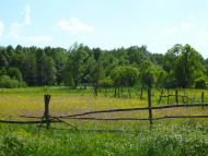 Люджа - Останні фото