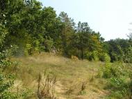 Мала Цвіля з panoramio.com