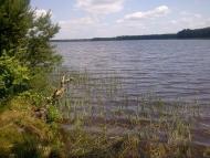 Віл з panoramio.com