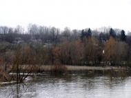 Вороне з panoramio.com