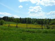 Люджа - Останні фото