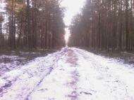 Жиричі з panoramio.com