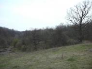 Люджа з panoramio.com