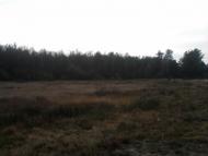 Жиричі з panoramio.com