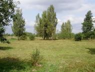 Ришавка з panoramio.com