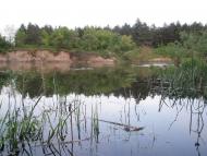 Піщане з panoramio.com