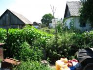 Берестовець з panoramio.com