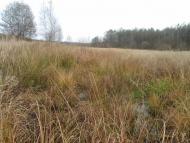 Жиричі з panoramio.com