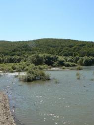 Синапне з panoramio.com - Синапне