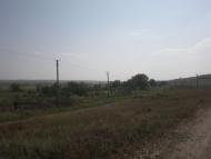 Липове з panoramio.com