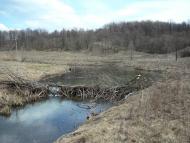 Люджа з panoramio.com