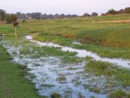 Хорів з panoramio.com