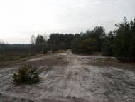 Жиричі з panoramio.com