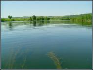 Бузьке з panoramio.com