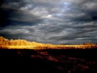 Пийтерфолво з panoramio.com