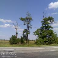 Чоботарка з panoramio.com