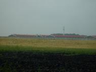 Зелене - Останні фото