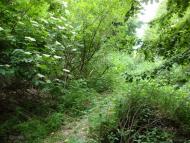 Дідівці з panoramio.com