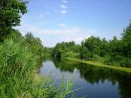 Шамраївка з panoramio.com