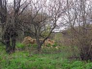 Соледар з panoramio.com