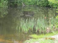 Глушицьке з panoramio.com