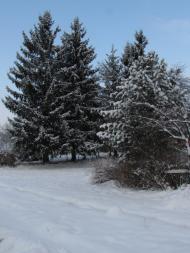 Брестів з panoramio.com