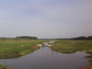 Любовичі з panoramio.com