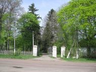 Тиниця з panoramio.com