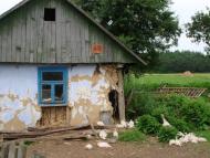 Дунаїв - Останні фото