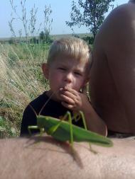 Зайцеве з panoramio.com