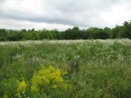 Верхня Слобідка з panoramio.com