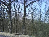 Макіївка з panoramio.com