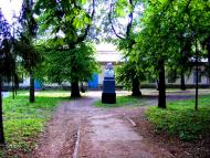 Вороне з panoramio.com