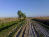 Стара Некрасівка з panoramio.com