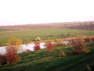 Козакова Балка з panoramio.com